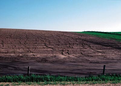 erosion (from NRCS).jpg